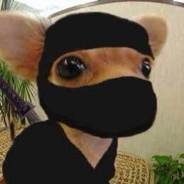 cocozu8189's profile picture
