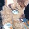 Profilbild von ã¬ãªã«ã