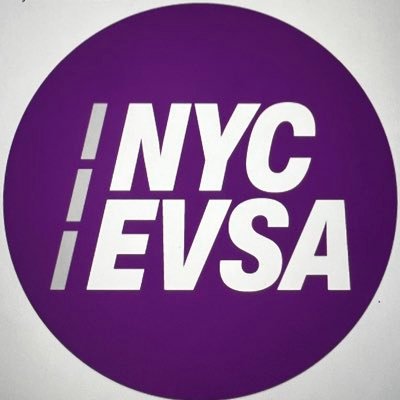 NYC E-Vehicle Safety Alliance's profile picture
