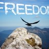 ProLibertateSemper's profile picture