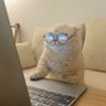 Nama tidak boleh kosong's profile picture