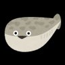 薩卡斑甲魚 profil fotoğrafı