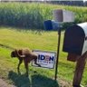 Kori Gillam's profile picture