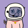 Kei Nakayama (kexi) 🐷's profile picture
