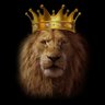 Sameer 🇵🇸's profile picture