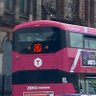 Malk's profile picture