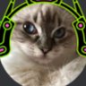 druxyz's profile picture