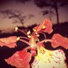 sky's profile picture