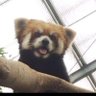 ゆひゆひ profil fotoğrafı