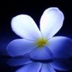 bükre 💕's profile picture