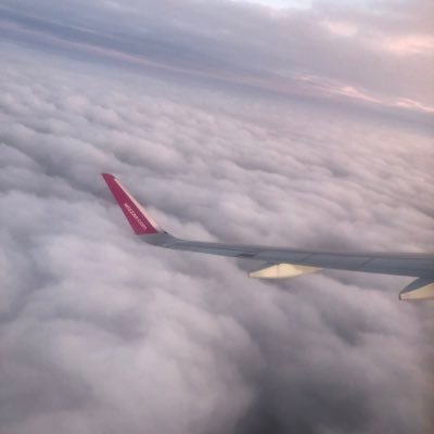 Serenella1990l's profile picture