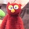 Kasimir's profile picture