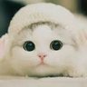 Foufeurs's profile picture