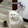 Kicok 的头像