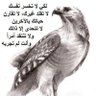 الطيرالمهاجر profil fotoğrafı