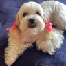 Dorothy Malone's profile picture