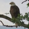 Nature Cadence profil fotoğrafı