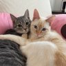 Profilbild von aramai0418