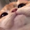 ryscu's profile picture