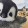 Profilbild von Zach