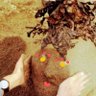 晴れのヒ profil fotoğrafı
