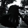 小 樹 的头像