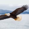 NM profil fotoğrafı
