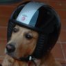 Profilbild von Hobbes