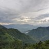 Фото профиля Ngai