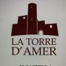 Profilbild von Ramon Torredemer Tur