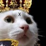 猫柱 天恵堂薬品 前田和儀 的头像
