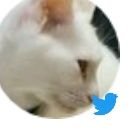 たらも's profile picture