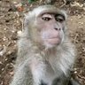 Lennuux profil fotoğrafı