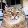 Profilbild von A.