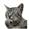 andrew mckim's profile picture