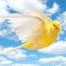 عالم الخيال profil fotoğrafı