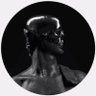 Michelangelo profil fotoğrafı
