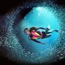 Фото профиля Louis Carriere
