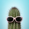 Фото профиля ControversialCactus