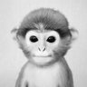 ʜᴏᴏᴅɪᴇ ᴍᴏᴏᴋɪᴇ's profile picture
