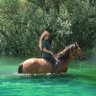 Profilbild von 🐎MariaPurt