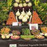 NatVegSocietyLancashire 的头像