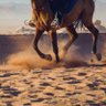 علي 的头像