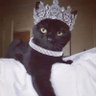 Sou um 'nimal' felino 的头像