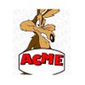ACME Aerospace's profile picture