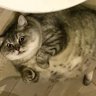 Sindy profil fotoğrafı