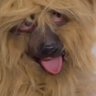 DaleDickems's profile picture