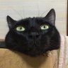 Profilbild von ヤンまま&@yanmama