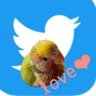 「あおっこ」🐦💕👑🐃に会いたいよ's profile picture