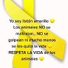 iL Mamertini's profile picture